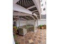 Palmier. École molière. Appartement 230m2. Terrasse 70m2. Location Meublé - miniature 4