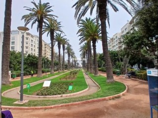 Palmier. École molière. Appartement 230m2. Terrasse 70m2. Location Meublé - Appartement à louer - Casablanca