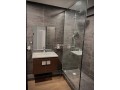 Bel appt meuble en location racine - miniature 7