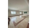 A louer grand appartement sur palmier - miniature 1