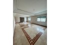 A louer grand appartement sur palmier - miniature 2