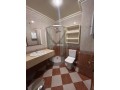 A louer grand appartement sur palmier - miniature 8