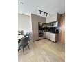 A louer studio de haut standing sur bourgogne - miniature 6