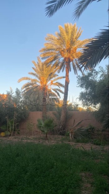Maison de lux avendre a Skoura, Ouarzazate - Vente Immobilier - Ouarzazate - photo 1