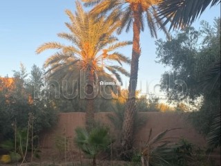 Maison de lux avendre a Skoura, Ouarzazate - Maison à vendre - Ouarzazate