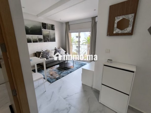 appartement-meuble-a-louer-a-hassan-big-2