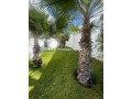 Villa de luxe vue sur mer a vendre - miniature 4