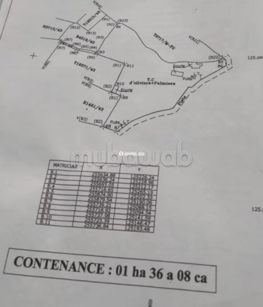 Terrain ZTR POUR lotissement - Vente Immobilier - Marrakech - photo 1