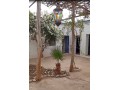 Riad de 10 Tortues - miniature 1