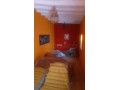 Riad de 10 Tortues - miniature 2