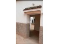 Riad de 10 Tortues - miniature 6