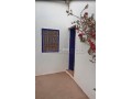 Riad de 10 Tortues - miniature 7