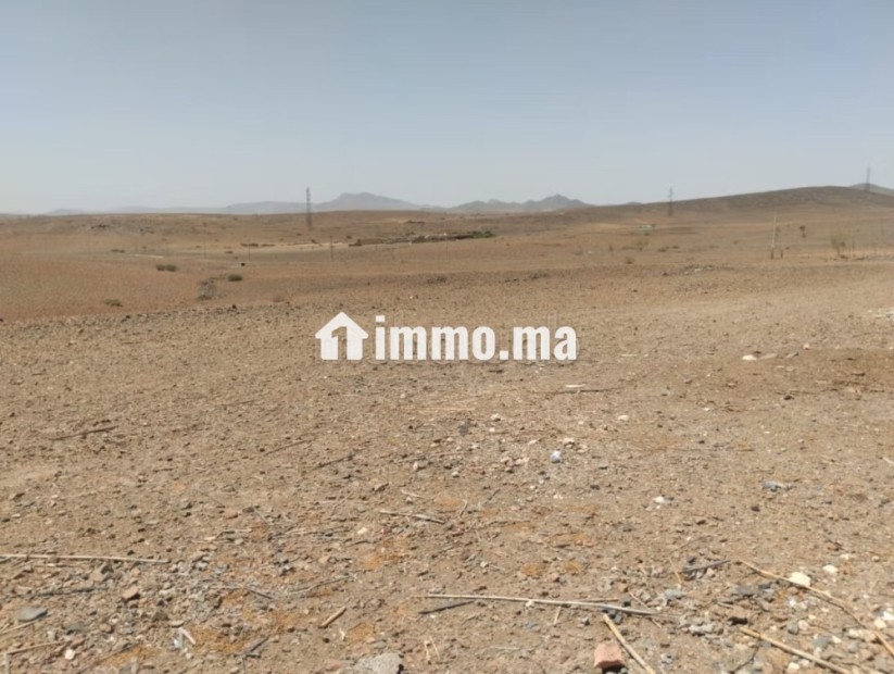 Terrain un hectare mlkiya km 23 bien situé - Vente Immobilier - Marrakech - photo 1