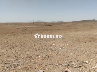 Terrain un hectare mlkiya km 23 bien situé - Terrain à vendre - Marrakech
