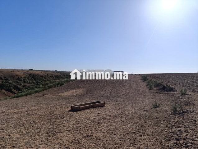 Terrain agricole avec vue panoramique, titré, proche des fermes - Vente Immobilier - Rabat - photo 1
