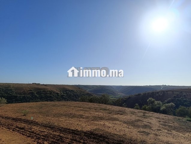 Terrain agricole avec vue panoramique, titré, proche des fermes - Vente Immobilier - Rabat - photo 3