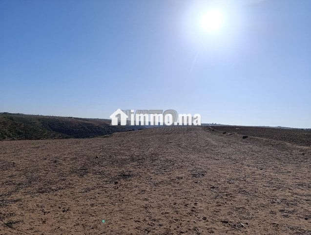 Terrain agricole avec vue panoramique, titré, proche des fermes - Vente Immobilier - Rabat - photo 4