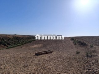 Terrain agricole avec vue panoramique, titré, proche des fermes - Terrain à vendre - Rabat