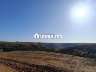 Terrain agricole avec vue panoramique, titré, proche des fermes - Terrain à vendre - Rabat