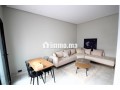 loue-palmier-superbe-meuble-neuf-2-ch-terrasse-small-4
