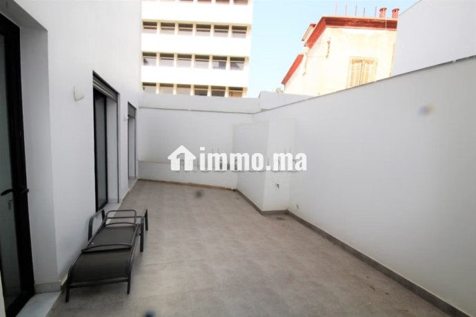 loue-palmier-superbe-meuble-neuf-2-ch-terrasse-big-9