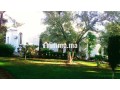 A vendre villa - miniature 8
