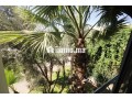 loue-luxe-villa-moderne-700-m2-piscin-residence-small-2