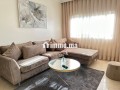 Appartement en location à Bourgogne Ouest. Surface totale 80 m². Meublé - miniature 4