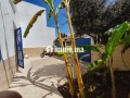 Petit bijou style grec en vente - miniature 1