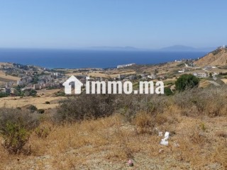 beau-terrain-a-la-vente-a-ksar-sghir-surface-totale-45000-m2