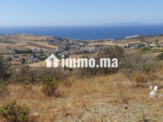 Beau terrain à la vente à Ksar Sghir. Surface totale 45000 m² - Terrain à vendre