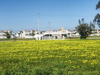 Apparemment à louer Mouhammedia - Appartement Location Vacances - El Mansouria
