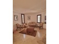 hay-riad-villa-de-500m2-avec-jardin-small-6