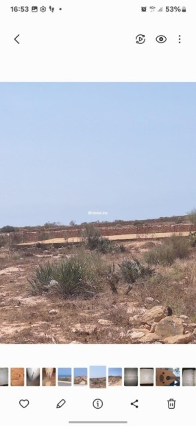 Terrain à vendre - Essaouira - Vente Immobilier - Essaouira - photo 5