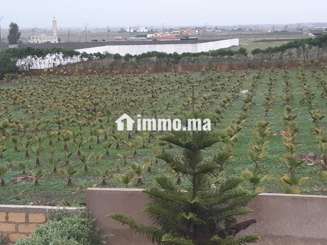 Terrain à construire - Vente Immobilier - El Jadida - photo 4