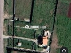 Terrain à construire - Terrain à vendre - El Jadida