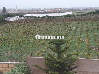 Terrain à construire - Terrain à vendre - El Jadida