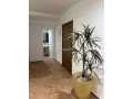 Bel appartement en location - miniature 4