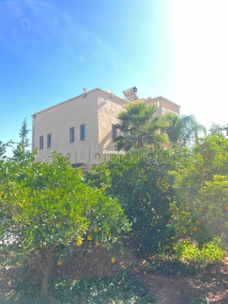Charmante Maison avec Grand Jardin Fruité - Vente Immobilier - Marrakech - photo 7