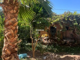 Charmante Maison avec Grand Jardin Fruité - Maison à vendre - Marrakech