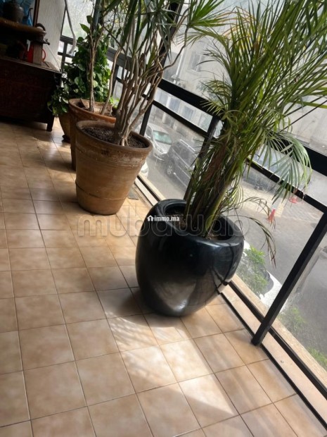 Bel appartement à vendre à Gauthier.
Surface de 240 m².
Concierge et climatisation - Vente Immobilier - Casablanca - photo 1