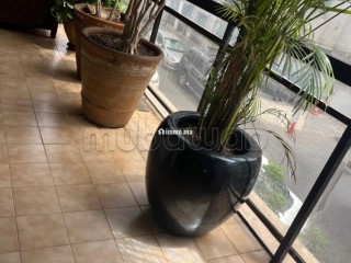 Bel appartement à vendre à Gauthier.
Surface de 240 m².
Concierge et climatisation - Appartement à vendre - Casablanca