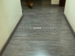 Bel appartement à vendre à Gauthier.
Surface de 240 m².
Concierge et climatisation - Appartement à vendre - Casablanca