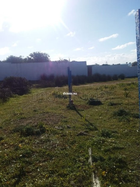 Terrain à la vente à Hawwara route de Asilah. Superficie 285 m². - Vente Immobilier - Tanger - photo 3