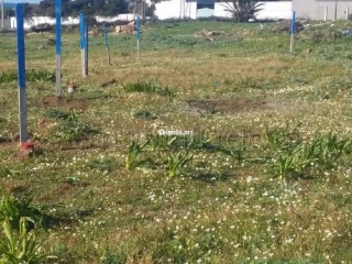 Terrain à la vente à Hawwara route de Asilah. Superficie 285 m². - Terrain à vendre - Tanger