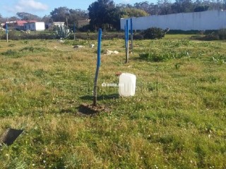 Terrain à la vente à Hawwara route de Asilah. Superficie 285 m². - Terrain à vendre - Tanger