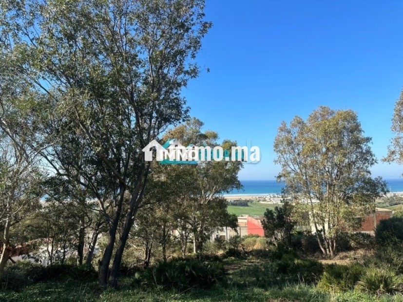 Terrain à vendre avec projet de villa prêt à construire – Vue exceptionnelle sur mer à jbila achakar - Vente Immobilier - Tanger - photo 7