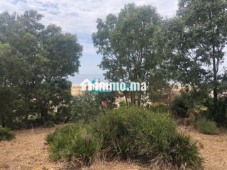 Terrain à vendre avec projet de villa prêt à construire – Vue exceptionnelle sur mer à jbila achakar - Villa à vendre - Tanger