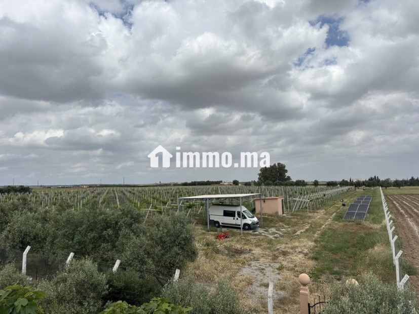 Belle ferme avec piscine - Vente Immobilier - Tiflet - photo 6