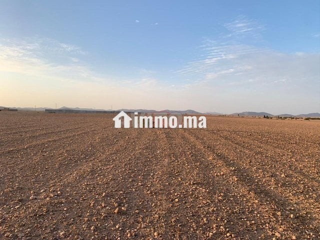 Vente Terrain nu de 76374 m² à Marrakech - Vente Immobilier - Marrakech - photo 1